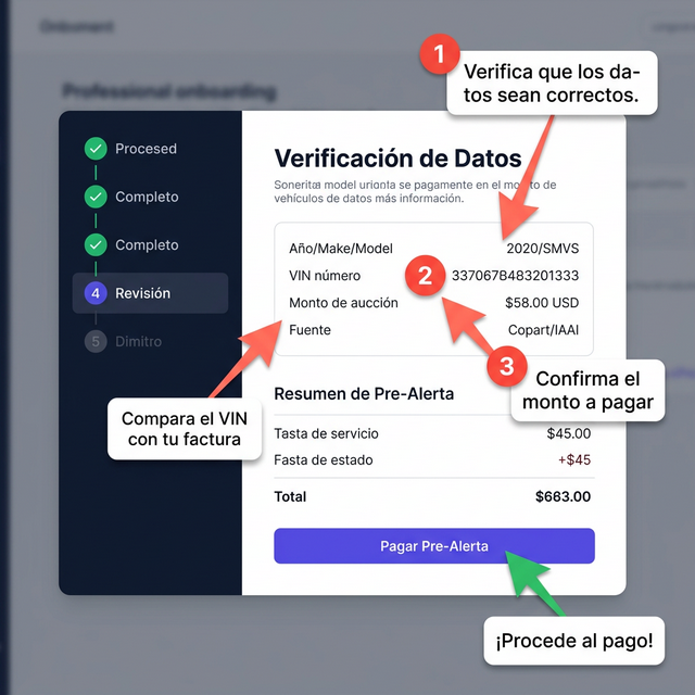 Paso 4 - Verificación de Datos